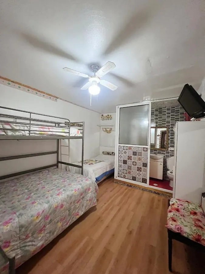 Guest house Hostal Flamenco Camaron Malaga